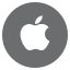 Apple Icon Medium Circle