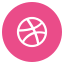 Dribbble Icon Medium Circle