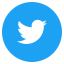 Twitter Icon Medium Circle