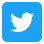 Twitter Icon Small Rounded