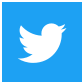 Twitter Icon Large Square