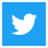 Twitter Icon Small Square